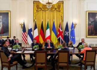 Octavian Știreanu, dileme legate de “Proiectul Ucraina”