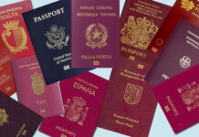 Ana Crăciun, analiză de excepție referitoare la DUBLA CETĂȚENIE, în contextul îndatoririi fundamentale de apărare a intereselor țării.