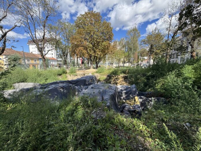 Ruinele romane din centrul Clujului: Patrimoniul se pierde în buruieni și ploi, sub privirea indiferentă a Primăriei