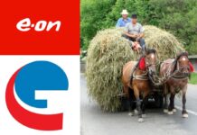 Companiile E.ON (entitatea oamenilor nemulțumiți) și Electrica Furnizare (de nervi și nepăsare) nu dau două parale pe zonele rurale