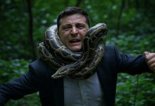 Agenția ucraineană STRANA prezintă sfârșitul iminent al regimului Zelensky. Puterea în stat preluată de partidul Soros, oligarhii corupți sau comandanții militari! (Inpolitics)