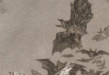 Gușă: Oare cât de tare ar bubui prostia dacă nimeni n-ar mai avea acces la internet?! “Somnul rațiunii naște monștri!”