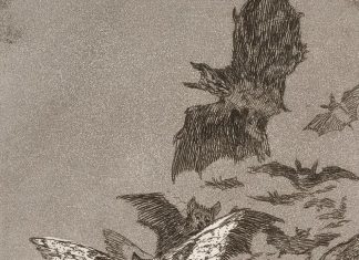 Gușă: Oare cât de tare ar bubui prostia dacă nimeni n-ar mai avea acces la internet?! “Somnul rațiunii naște monștri!”