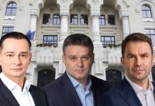 Elena Crangasu (Cotidianul), despre relația candidaților Coaliției cu Nicușor Dan