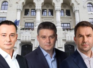 Elena Crangasu (Cotidianul), despre relația candidaților Coaliției cu Nicușor Dan