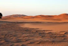 Motivul pentru care Arabia Saudită și Emiratele Arabe Unite cumpără nisip din Australia!