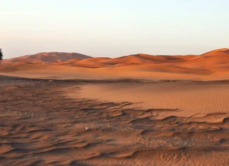 Motivul pentru care Arabia Saudită și Emiratele Arabe Unite cumpără nisip din Australia!