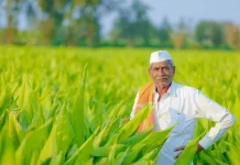 BTI: Cu ochii la Mercosur am uitat de adevăratele mari acorduri ale UE