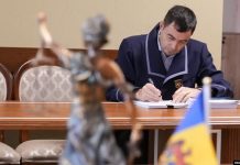 O româncă “l-a dat în gât” pe miliardarul Plahotniuc. Dezvăluiri despre averea sa și filiera românească!