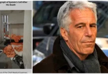 O nouă ciudățenie în Dosarul Epstein. Moartea proxenetului a fost semnalată pe internet cu 38 de minute înaintea anunțului oficial, FBI caută de 6 ani autorul postării!