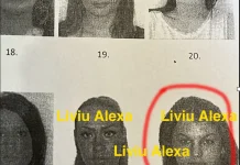 Liviu Alexa o identifică pe “nevasta Ferrari” pe PLANȘA curvelor de lux, la poziția 24!