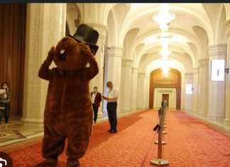 Declic încearcă să blocheze un nou proiect energetic de interes național