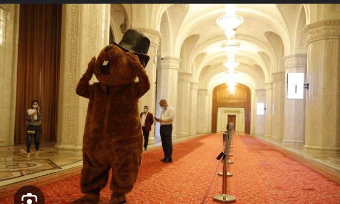 Declic încearcă să blocheze un nou proiect energetic de interes național Declic încearcă să blocheze un nou proiect energetic de interes național