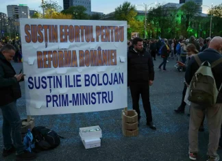 Dana Budeanu, mesaj pentru BOLOFANI!