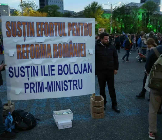 Dana Budeanu, mesaj pentru BOLOFANI!