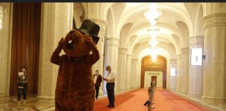 Declic vrea să blocheze un proiect de securitate națională!