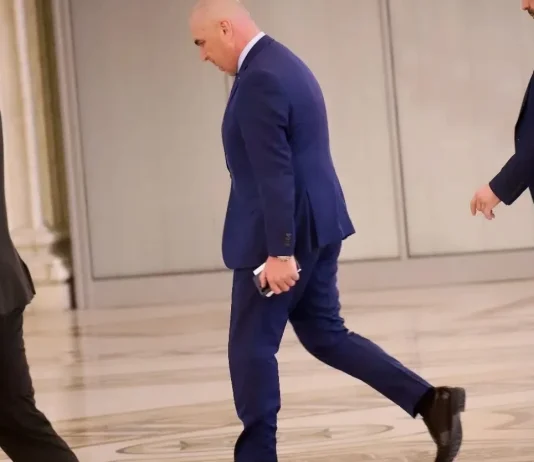 Dana Budeanu: Bolojan, o notă de subsol. PNL dispărea demult dacă nu era salvat de PSD!
