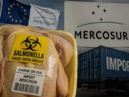 Acordul MERCOSUR, primul scandal: 80% din carnea de pui adusă din Brazilia în Grecia are salmonella!