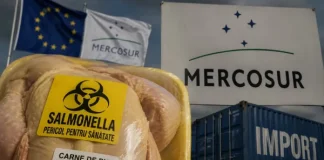 Acordul MERCOSUR, primul scandal: 80% din carnea de pui adusă din Brazilia în Grecia are salmonella!