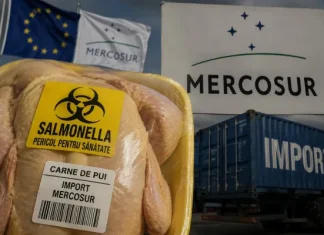 Acordul MERCOSUR, primul scandal: 80% din carnea de pui adusă din Brazilia în Grecia are salmonella!