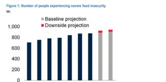 JPMorgan avertizează că o nouă criză alimentară globală ar putea izbucni anul viitor