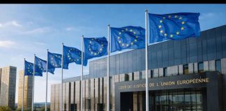 Lin II și primele divergențe de interpretare în ministerul public.