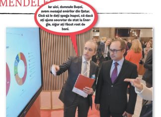 Mihai Radu (CAȚAVENCII): Energicul Bușoi
