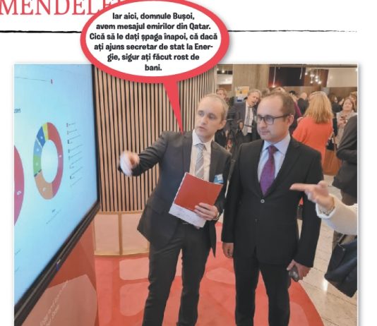 Mihai Radu (CAȚAVENCII): Energicul Bușoi