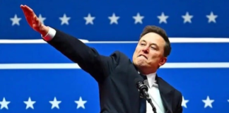 Elon Musk e bucuros pentru victoria AfD în alegerile din Germania: ”Gut gemacht!” (Bună treabă!)