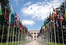 SCO și dezvoltarea unui sistem de transport eurasiatic