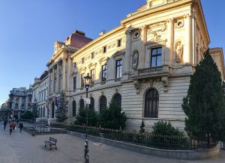 Constantin Rudnițchi (DILEMA): Băncile din România creditează puțin populația și afacerile, profitul lor vine din împrumutarea statului român!