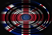 Levana Zigmund prezintă planurile lui Andy Burnham de revenire în UE