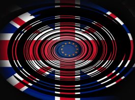 Levana Zigmund prezintă planurile lui Andy Burnham de revenire în UE