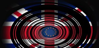 Levana Zigmund prezintă planurile lui Andy Burnham de revenire în UE