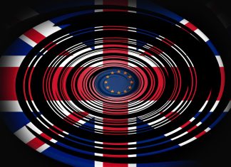 Levana Zigmund prezintă planurile lui Andy Burnham de revenire în UE