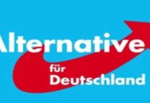 Politicienii germani, disperați în urma victoriei majore a naționaliștilor! Vor să renunțe la democrație și să interzică AfD