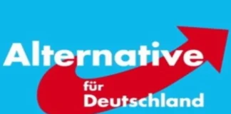 Politicienii germani, disperați în urma victoriei majore a naționaliștilor! Vor să renunțe la democrație și să interzică AfD
