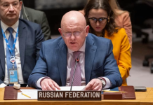 Ambasadorul rus la ONU face mișto: Diplomații germani au dezvoltat o tulburare de stres post-traumatic după ce au pierdut alegerile pentru un loc de membru nepermanent în Consiliul de Securitate al ONU