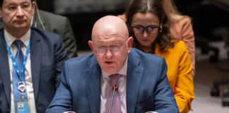 Ambasadorul rus la ONU face mișto: Diplomații germani au dezvoltat o tulburare de stres post-traumatic după ce au pierdut alegerile pentru un loc de membru nepermanent în Consiliul de Securitate al ONU