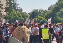 Acuzații de instigare la protestul fermierilor! Iulian Ionescu și Cozmin Gușă dezvăluie informații în exclusivitate despre o posibilă escaladare a manifestației pentru răsturnarea Guvernului Bolojan