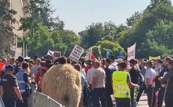Acuzații de instigare la protestul fermierilor! Iulian Ionescu și Cozmin Gușă dezvăluie informații în exclusivitate despre o posibilă escaladare a manifestației pentru răsturnarea Guvernului Bolojan