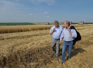 Lovitură geoeconomică a Rusiei: în septembrie și-a redus exporturile de cereale de 6 ori, va genera furtună la bursa agricolă!