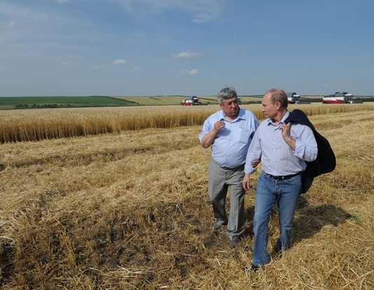 Lovitură geoeconomică a Rusiei: în septembrie și-a redus exporturile de cereale de 6 ori, va genera furtună la bursa agricolă!
