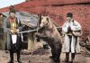 Actualitatea tragică a poeziei „Dansează ursul românesc” de Mihai Beniuc: ursul totemic românesc, încătușat de noii „boieri”