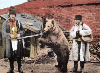 Actualitatea tragică a poeziei „Dansează ursul românesc” de Mihai Beniuc: ursul totemic românesc, încătușat de noii „boieri”