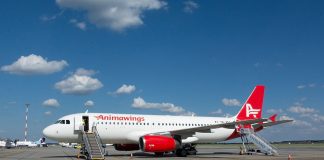 Șocant! ANIMAWINGS, compania aviatică deținută de președintele Băncii Transilvania, a depus cerere de insolvență