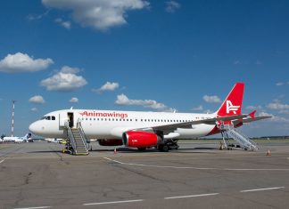 Șocant! ANIMAWINGS, compania aviatică deținută de președintele Băncii Transilvania, a depus cerere de insolvență